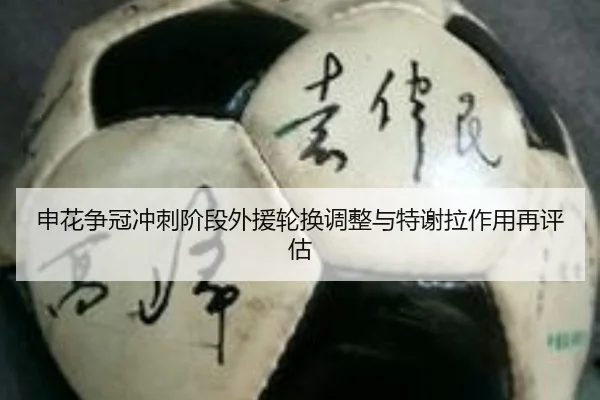 申花争冠冲刺阶段外援轮换调整与特谢拉作用再评估